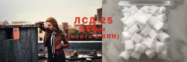 индика Малоярославец