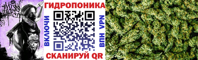 Бошки Шишки OG Kush  Слободской 